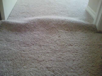 carpet-shrinkage