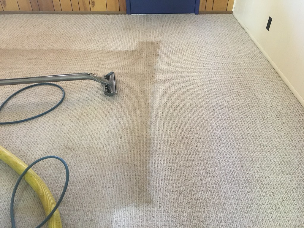 steam-cleaning-a-carpet