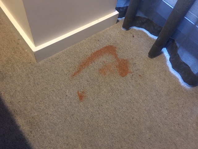 Carpet stain present