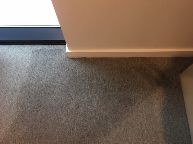Stain removed from carpet