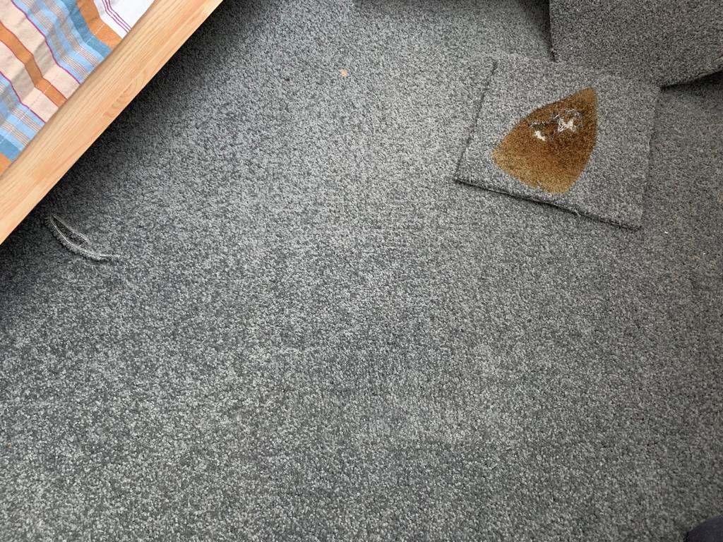 carpet-repair-iron-marks-after