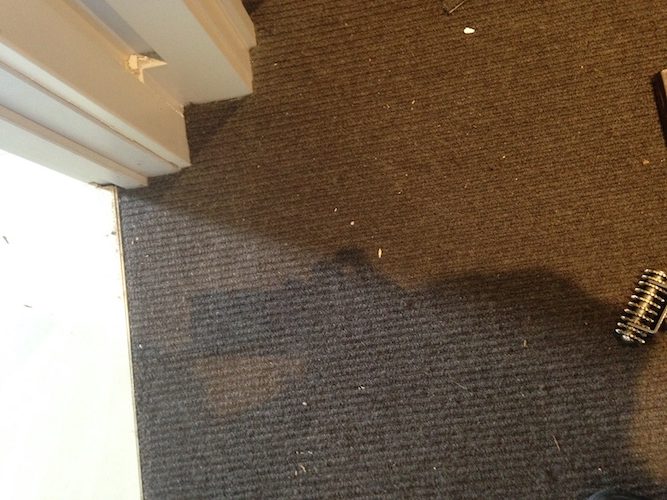 carpet-repairs-after