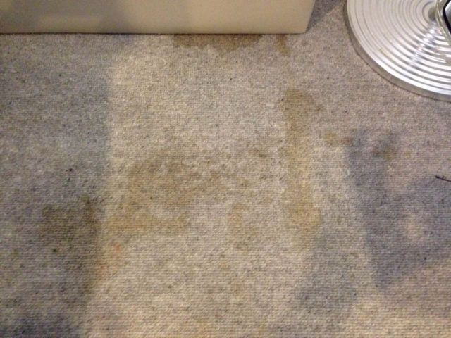 carpet stains before