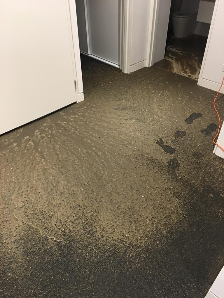 sewage spilled in a room spoiling carpet because of a toilet overflow