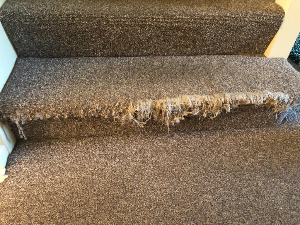 stairs-carpet-repair-before