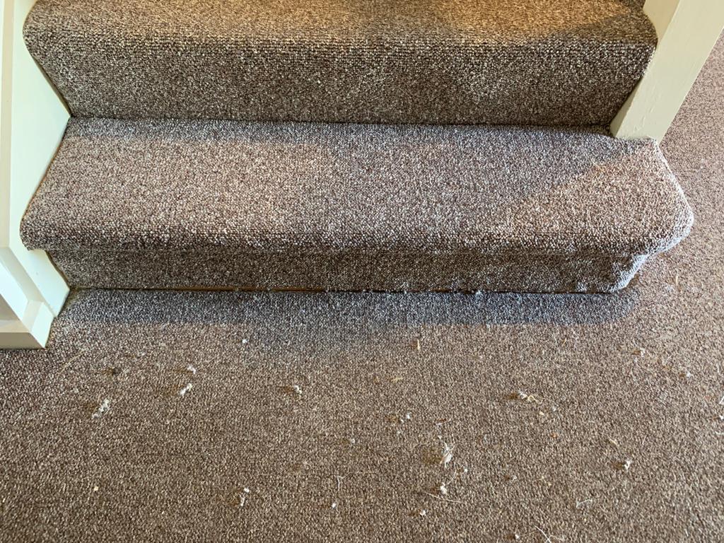 stairs-carpet-repairs-after
