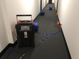 drying of a Polypropylene carpet in a common area on a multi-storey building