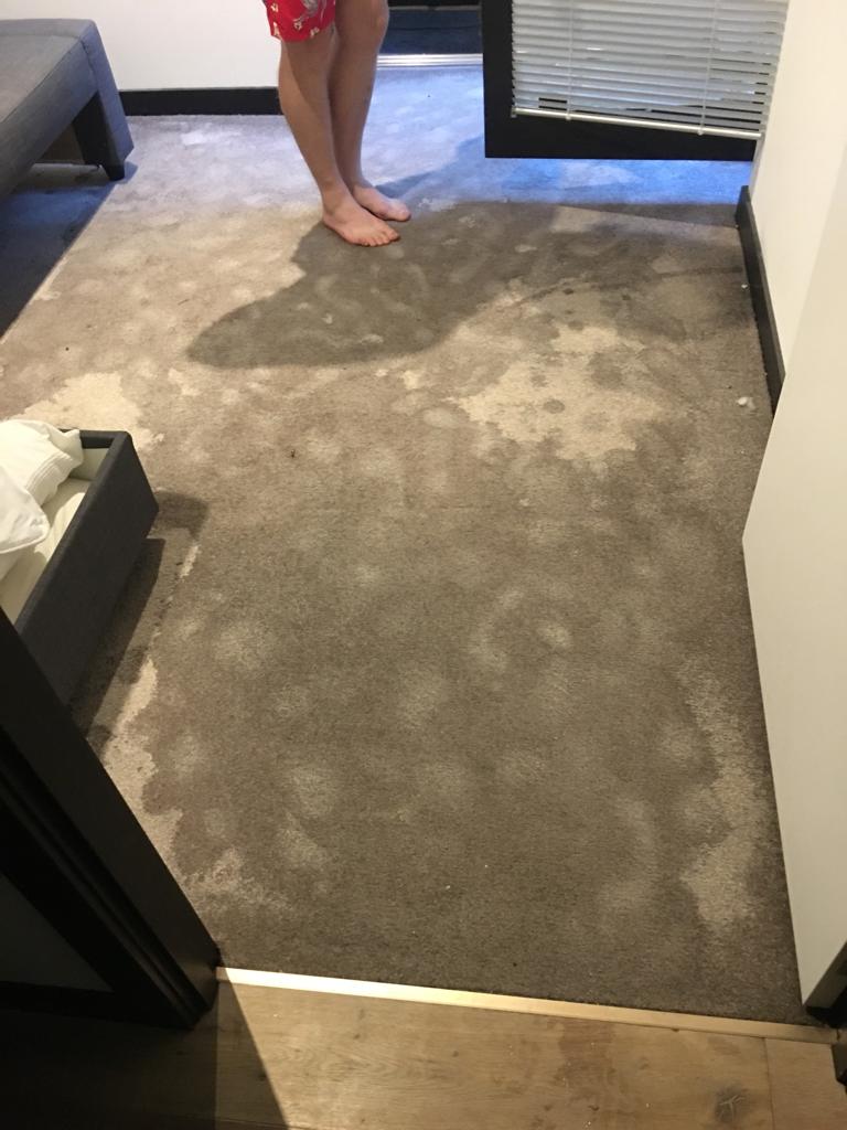 solution dyed nylon carpet in an apartment in Melbourne city