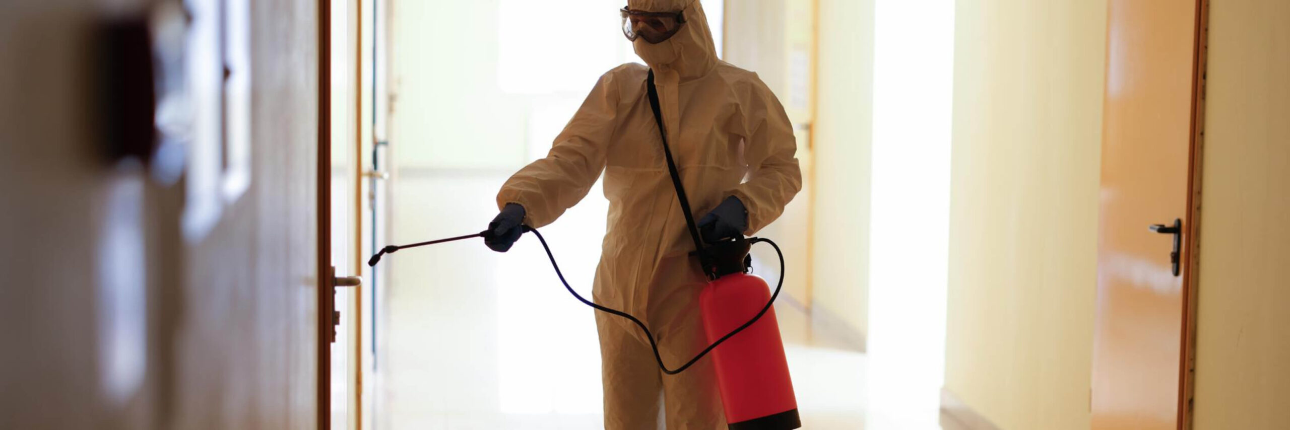 How to Prevent Mold Infestations in Your Home and Stay Healthy