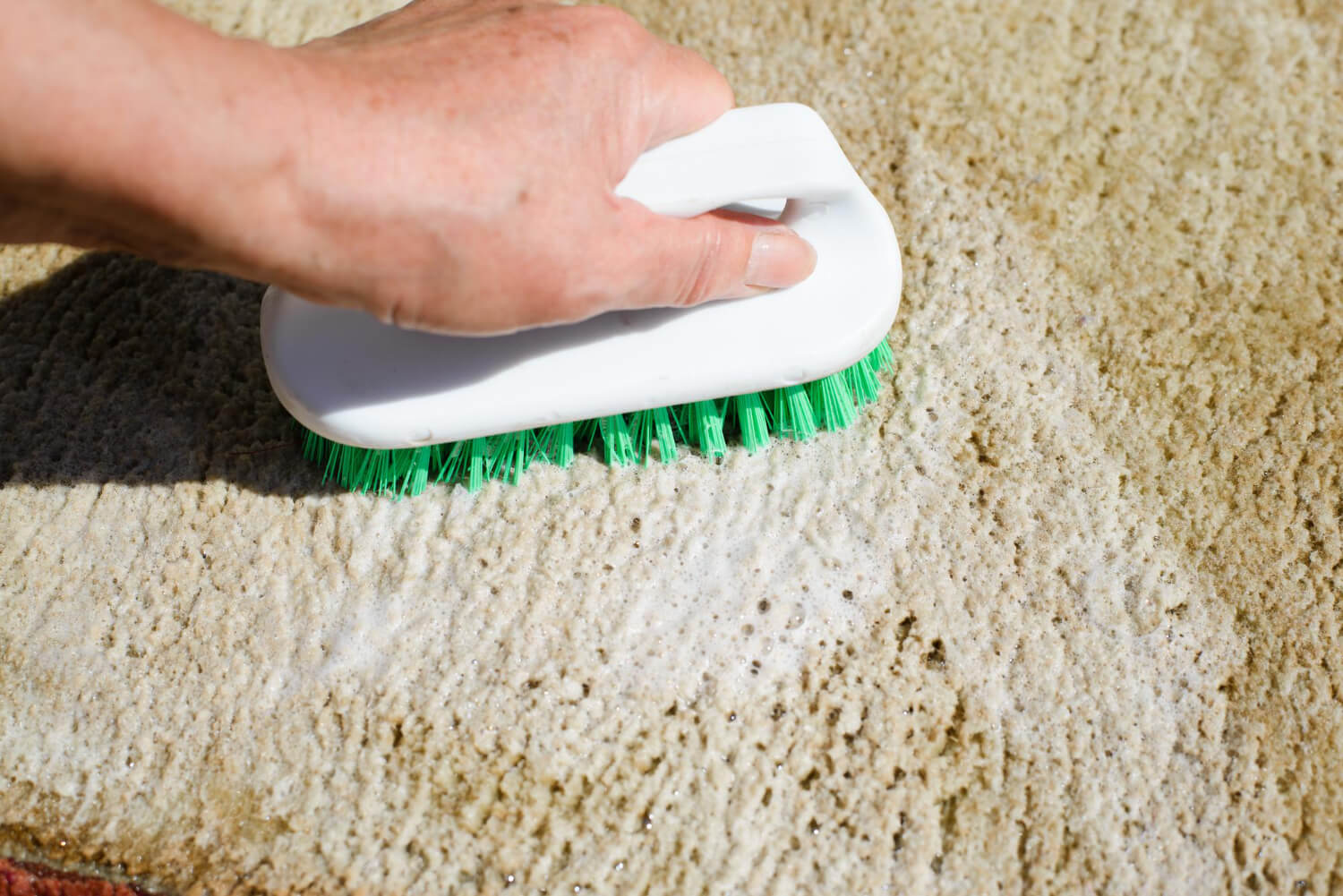 Setting Expectations After a Professional Wet Carpet Cleaning